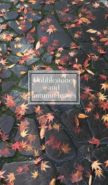 [LINE着せ替え] Cobblestones and autumn leaves.の画像1