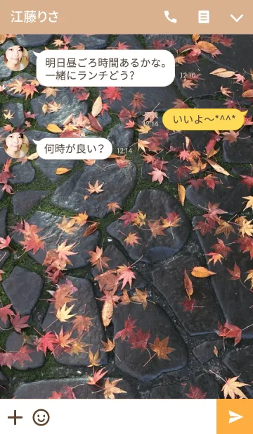 [LINE着せ替え] Cobblestones and autumn leaves.の画像3