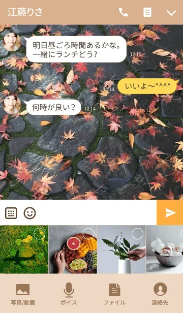 [LINE着せ替え] Cobblestones and autumn leaves.の画像4