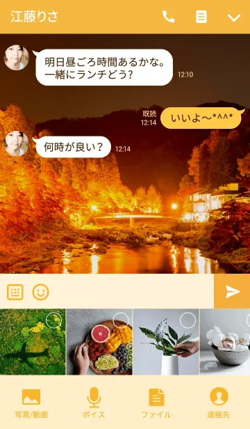 [LINE着せ替え] 燃える紅葉の画像4