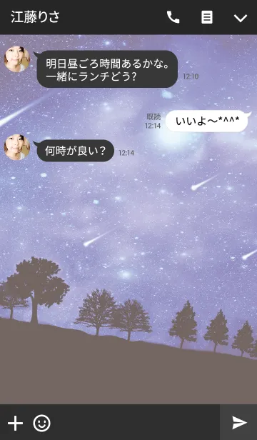 [LINE着せ替え] 星降る夜に... *の画像3