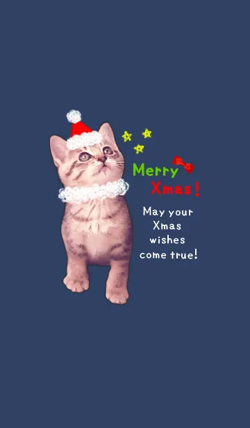 [LINE着せ替え] Pretty Cristmas Cats ☆の画像1