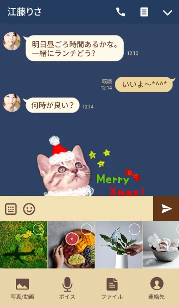 [LINE着せ替え] Pretty Cristmas Cats ☆の画像4