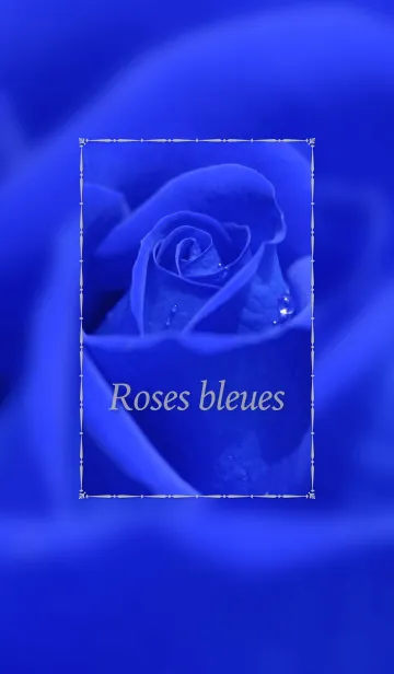 [LINE着せ替え] Roses bleues ～青いバラ～の画像1