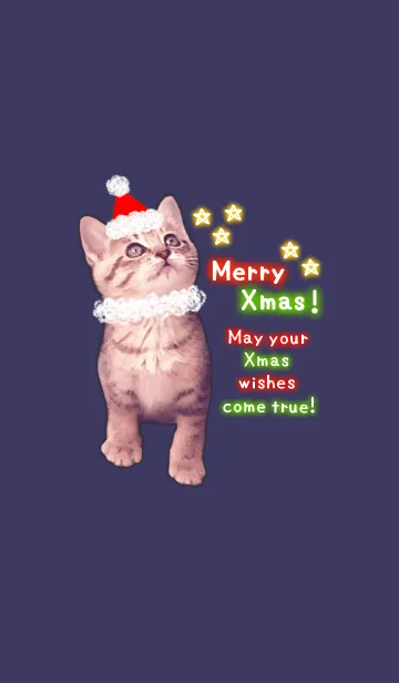 [LINE着せ替え] Pretty Cristmas Cats ☆Neon☆の画像1