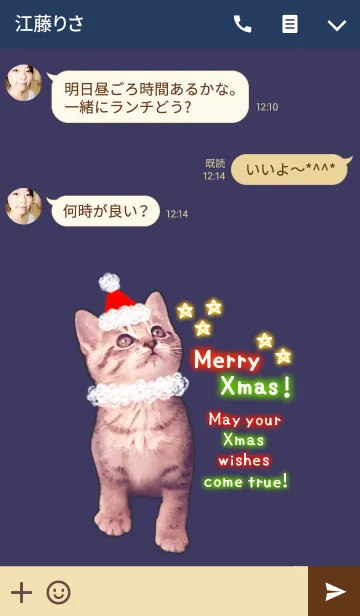 [LINE着せ替え] Pretty Cristmas Cats ☆Neon☆の画像3