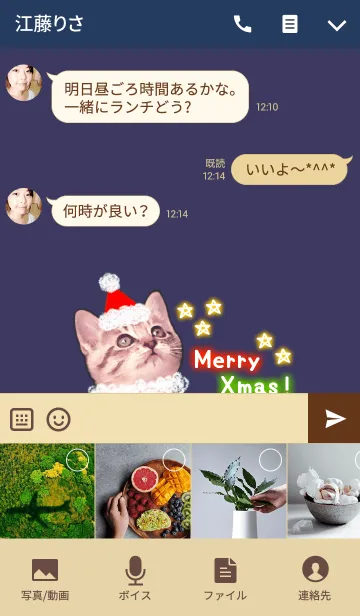 [LINE着せ替え] Pretty Cristmas Cats ☆Neon☆の画像4