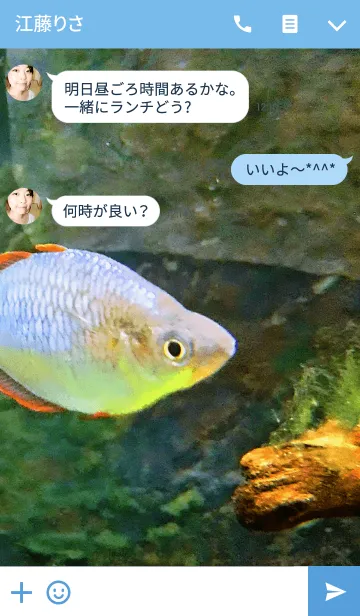 [LINE着せ替え] cute fishの画像3