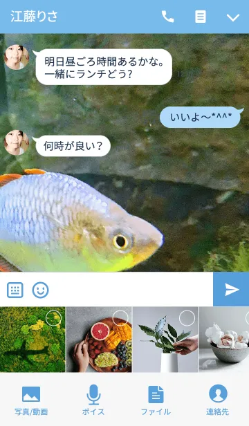 [LINE着せ替え] cute fishの画像4