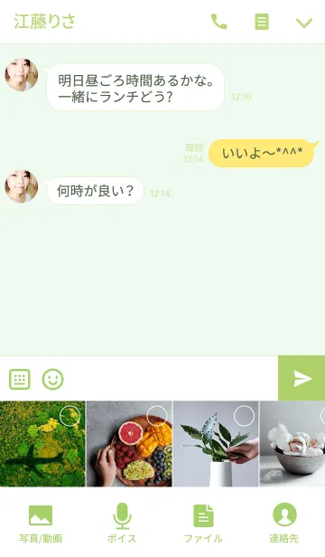 [LINE着せ替え] サボテン美しい鉢植えの画像4