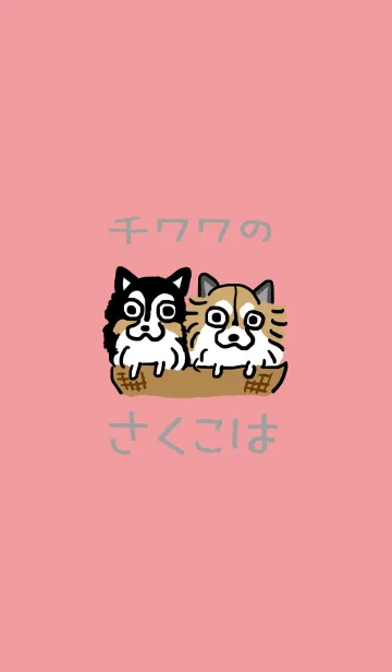 [LINE着せ替え] チワワのサクコハの画像1