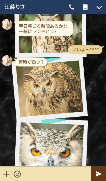 [LINE着せ替え] ミミズクのアルバムの画像3