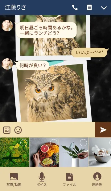 [LINE着せ替え] ミミズクのアルバムの画像4