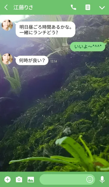 [LINE着せ替え] moss～苔～の画像3