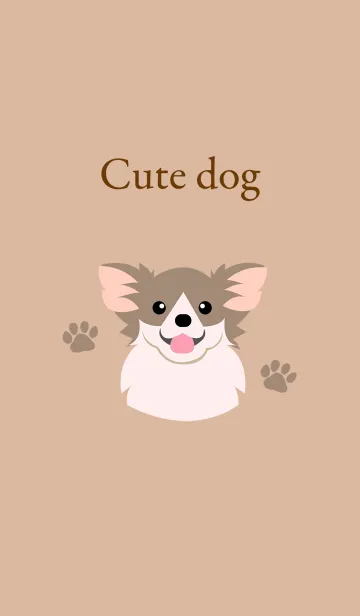 [LINE着せ替え] かわいい長髪チワワの犬の画像1