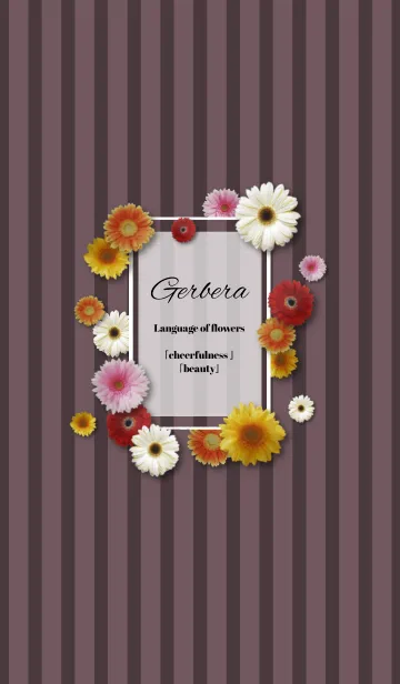 [LINE着せ替え] Gerbera ～花言葉～の画像1