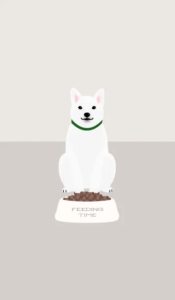 [LINE着せ替え] ごはんの時間 - 白柴犬 -の画像1