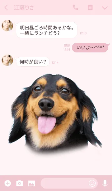 [LINE着せ替え] ミニチュアダックスのマロの着せ替えの画像3