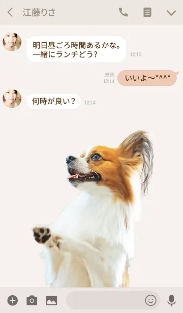 [LINE着せ替え] パピヨン好きの着せ替えの画像3