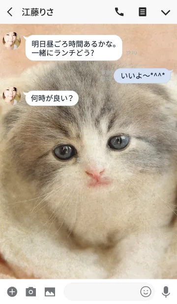 [LINE着せ替え] 愛くるしいBabyスコテッシュの画像3