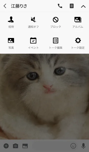 [LINE着せ替え] 愛くるしいBabyスコテッシュの画像4