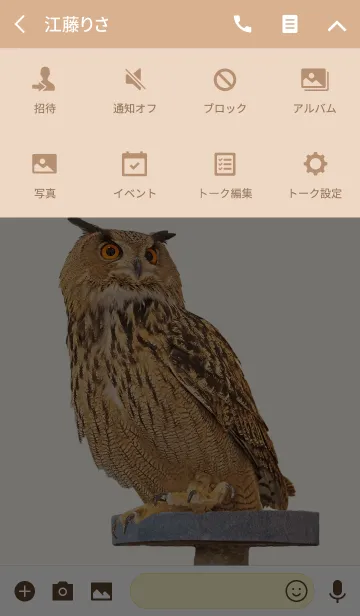 [LINE着せ替え] ミミズクの着せ替えの画像4