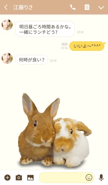 [LINE着せ替え] ウサギ、ネザーランドドワーフ着せ替えの画像3