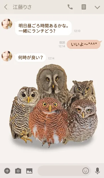 [LINE着せ替え] フクロウ大好き、着せ替えの画像3