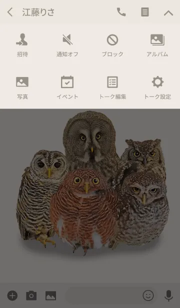 [LINE着せ替え] フクロウ大好き、着せ替えの画像4