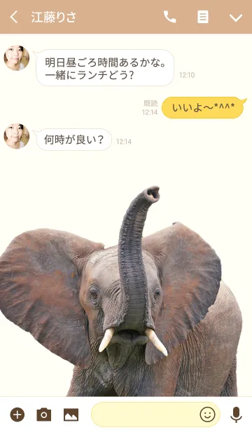 [LINE着せ替え] アフリカゾウ大好き「南アフリカ」の画像3