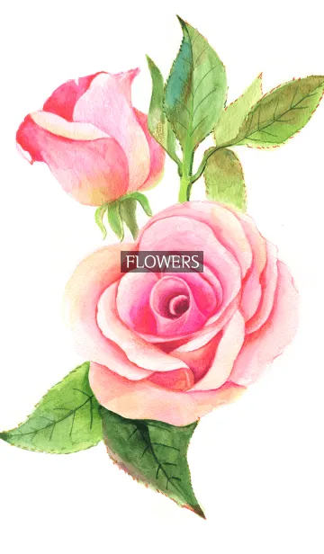 [LINE着せ替え] water color flowers_384の画像1