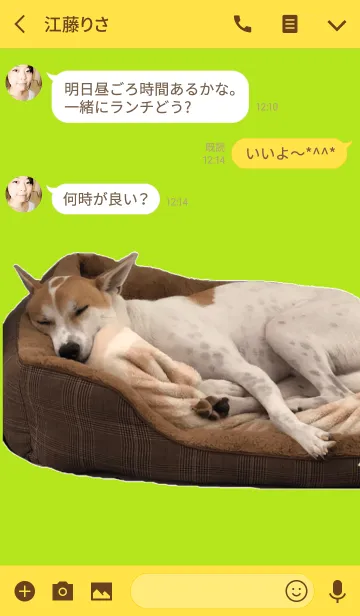 [LINE着せ替え] わが家の愛犬、雑種のまる / maruMARUの画像3