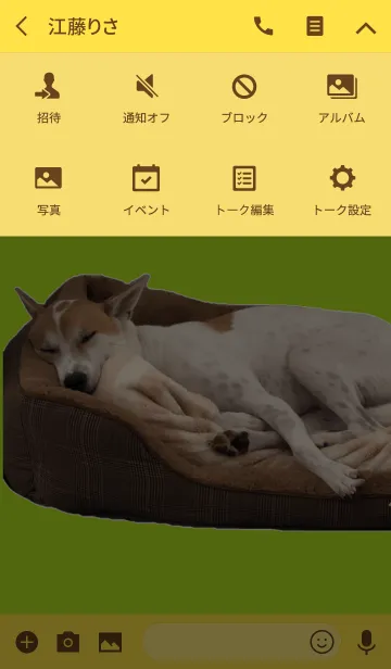 [LINE着せ替え] わが家の愛犬、雑種のまる / maruMARUの画像4