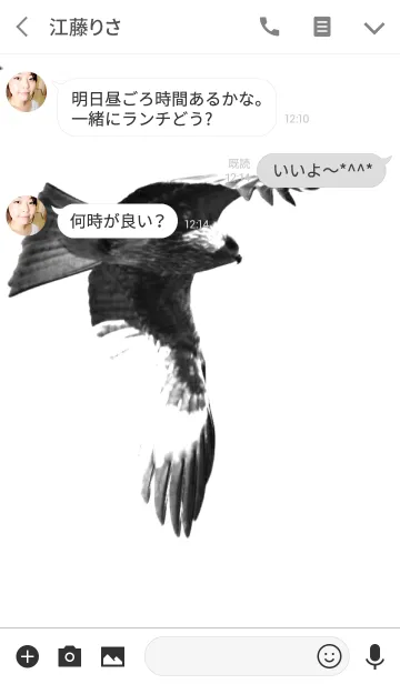 [LINE着せ替え] Monochrome Milvus migransの画像3