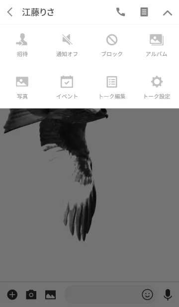 [LINE着せ替え] Monochrome Milvus migransの画像4