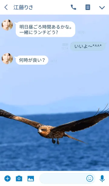 [LINE着せ替え] fowlの画像3