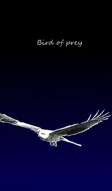 [LINE着せ替え] Bird of preyの画像1