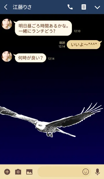 [LINE着せ替え] Bird of preyの画像3