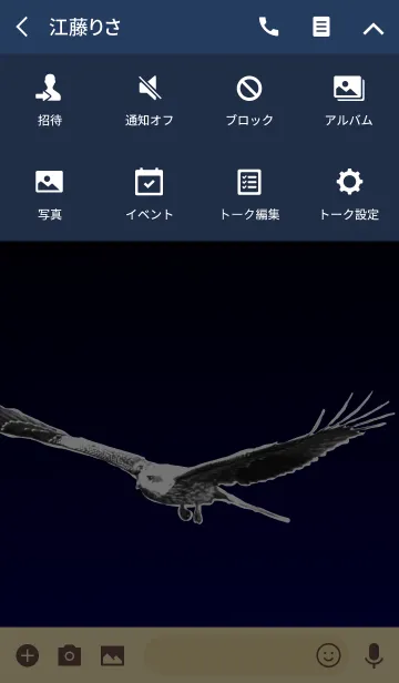 [LINE着せ替え] Bird of preyの画像4