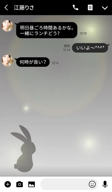 [LINE着せ替え] Rabbit and Moonlightの画像3