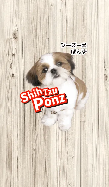 シーズー犬ぽんずのline着せ替え 画像 情報など