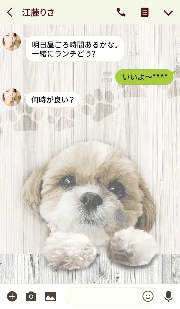 [LINE着せ替え] シーズー犬かぼすの画像3