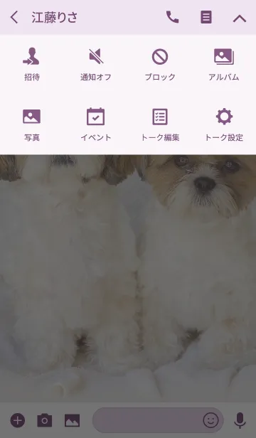 [LINE着せ替え] シーズー犬ぽんずとかぼす2の画像4