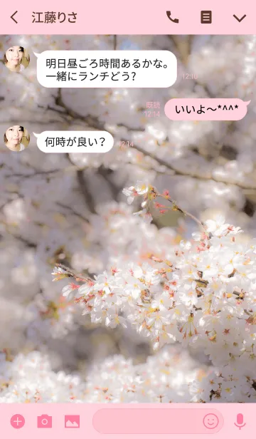 [LINE着せ替え] sakurabloom 2の画像3