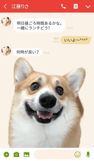 [LINE着せ替え] リアルDOG コーギー まろ眉コーギー☆ごんの画像3