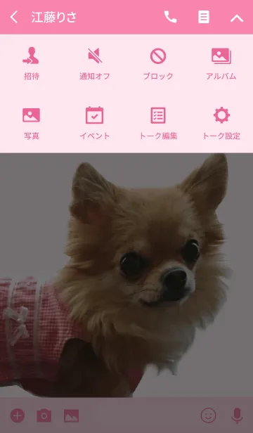 [LINE着せ替え] リアルDOG チワワ❤️ぴのたんの画像4