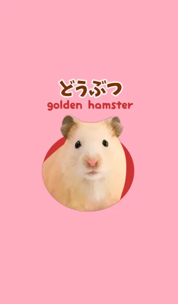 [LINE着せ替え] どうぶつ golden hamsterの画像1