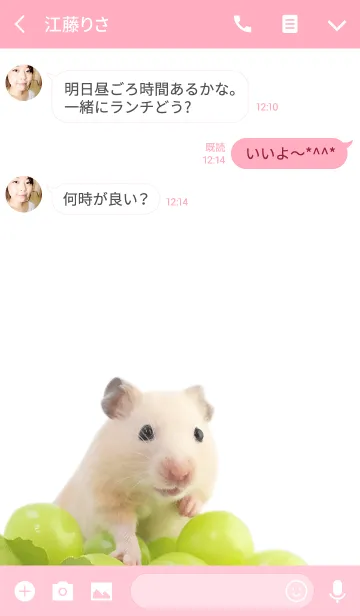 [LINE着せ替え] どうぶつ golden hamsterの画像3