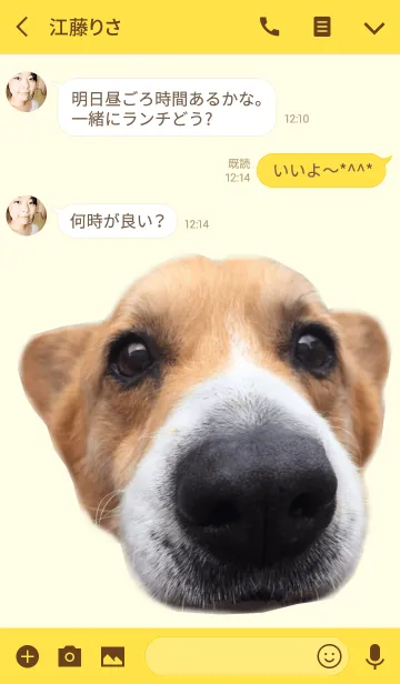 [LINE着せ替え] リアルDOG コーギー ここあのおさんぽの画像3