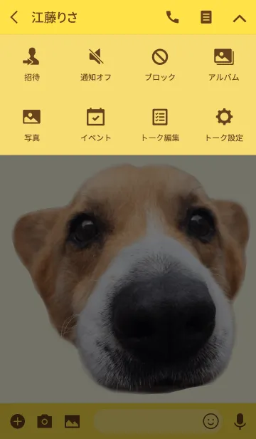 [LINE着せ替え] リアルDOG コーギー ここあのおさんぽの画像4